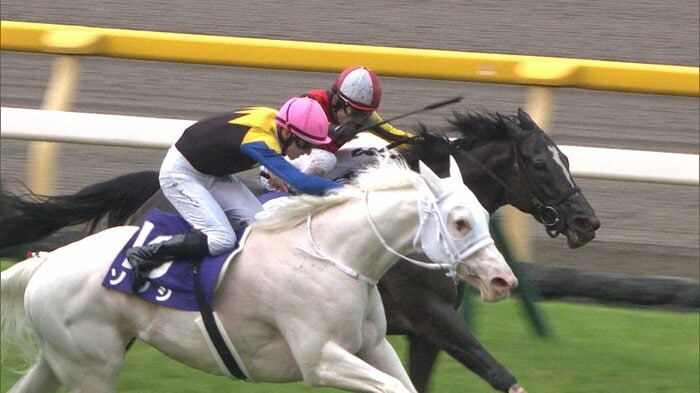 2021年の勝ち馬・ソダシ