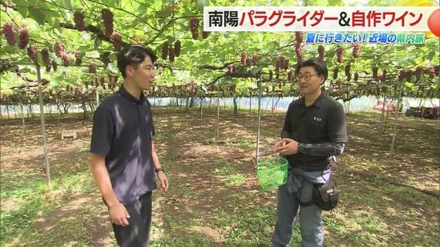 ブドウの個性を引き出し本来の味・香りを残すため昔ながらの製法でワインを作っている