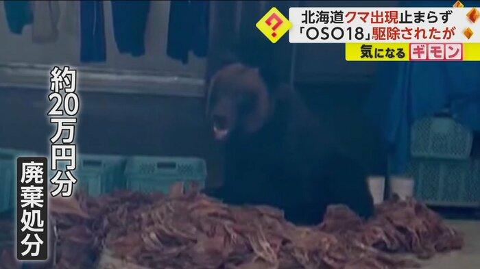 (視聴者撮影)