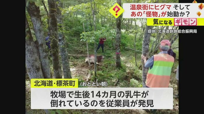 牧場で生後14カ月の乳牛が倒れているのを、従業員が発見