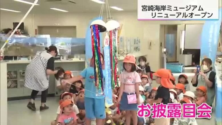 砂浜少なくなる中…宮崎海岸について学べるミュージアムがリニューアルオープン｜FNNプライムオンライン