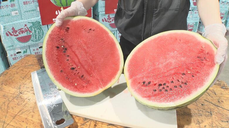 暑い夏にぴったり！例年以上に糖度高い“八色スイカ” おいしいスイカの見分け方は…“しま模様”に注目 新潟｜FNNプライムオンライン