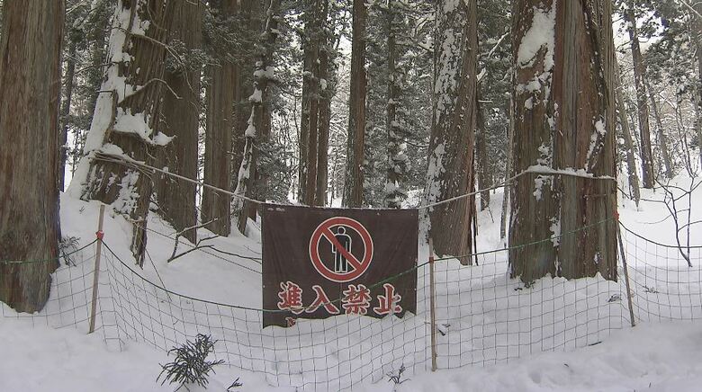 外国人客が急増　パワースポットとして知られる神社参道　立ち入り禁止エリアに侵入相次ぐ　観光協会「安全に楽しんで」｜FNNプライムオンライン