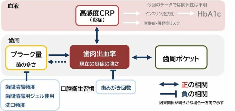 糖尿病の状態により歯ぐきの出血反応に差があることが判明　歯周病安定・維持期も血液指標を用いたリスク別対応が重要