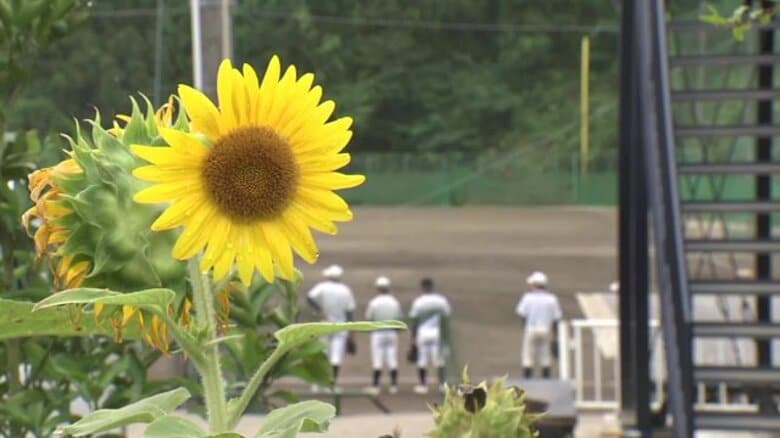 初の甲子園に挑む　福島代表・東日大昌平　ひまわりのように…チーム一丸　初戦は北北海道・白樺学園　｜FNNプライムオンライン