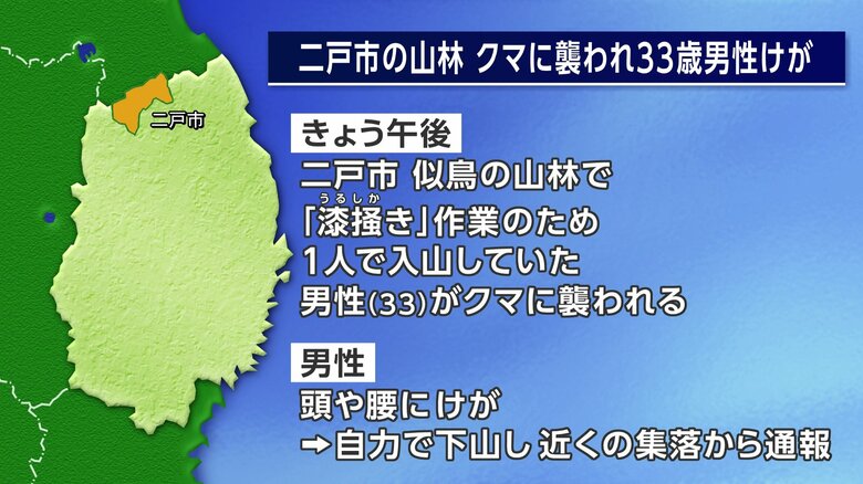 クマに襲われ33歳男性けが、「漆掻き」のため入山　襲ったクマは成獣とみられ付近に子グマの姿も　岩手・二戸市｜FNNプライムオンライン
