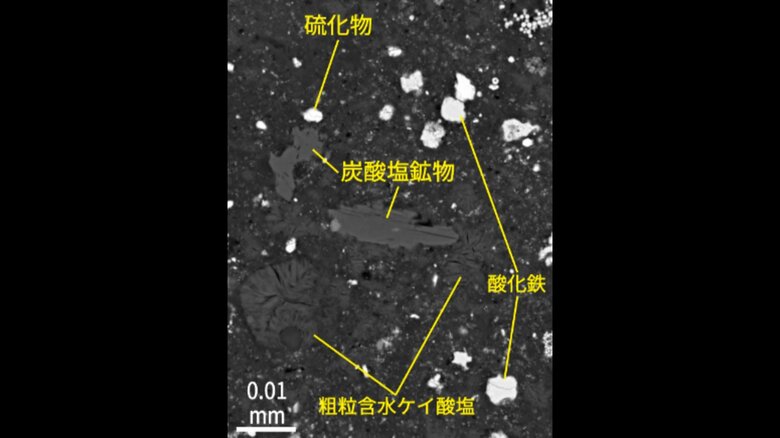 提供:JAMSTEC / Phase2キュレーション高知