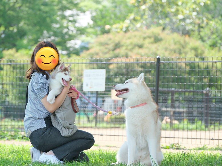 提供：ココとイチのままちゃん