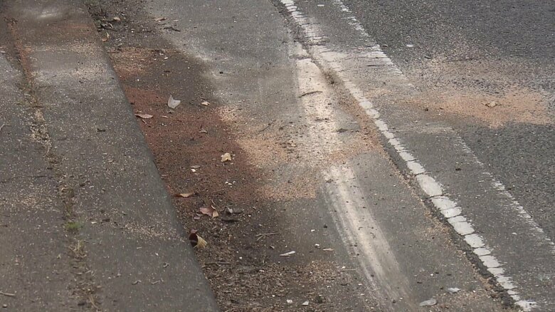 巻き込まれなかったのは奇跡というぐらいすれすれで娘は助かった