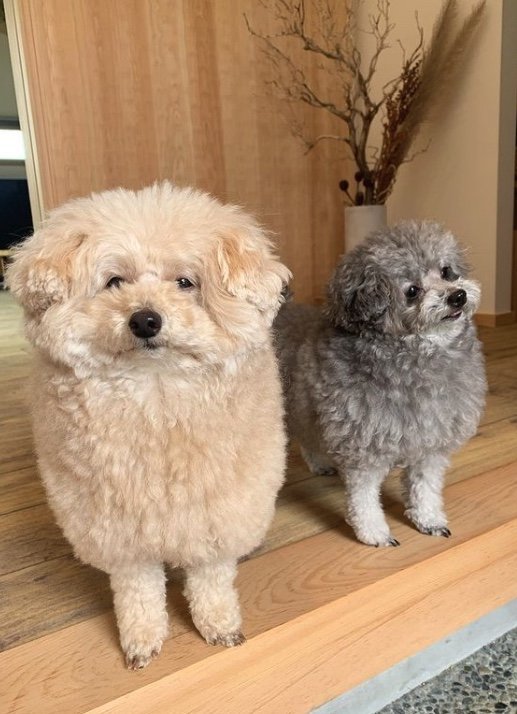 提供：＠tsuru_323さん