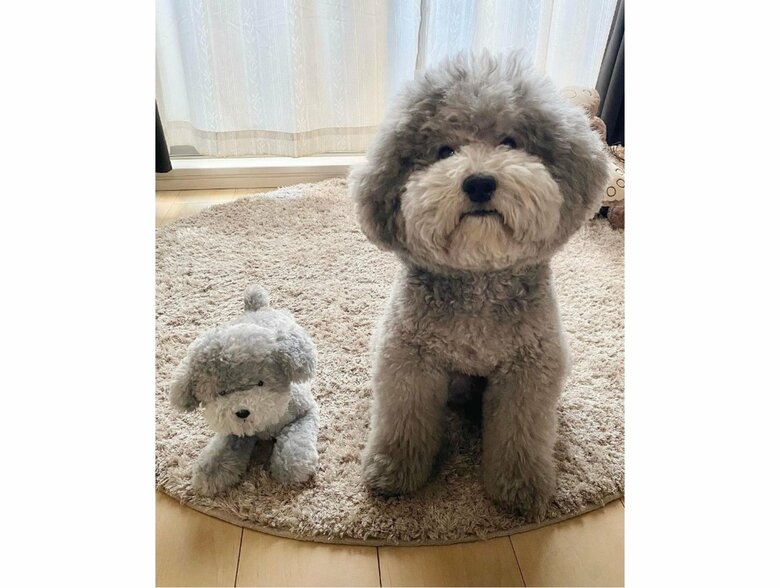 4歳当時でも大きさは全く違った！（提供：レノン&れあるさん）