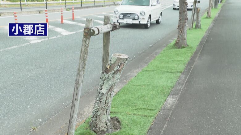 ビッグモーター小郡店前に敷き詰められた緑色人工芝（2023年）