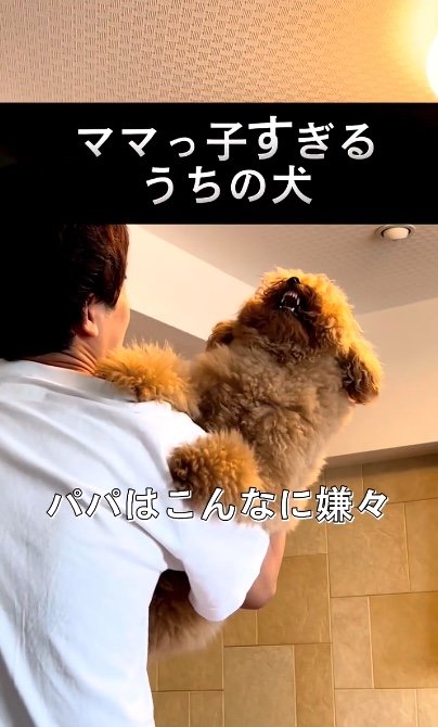 提供：ピン太郎ママさん