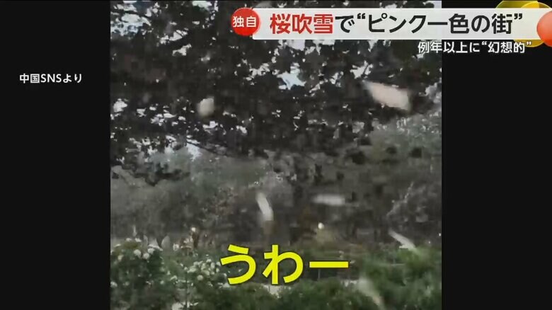 撮影していた人が思わず「うわー！」と叫ぶほど息をのむ光景