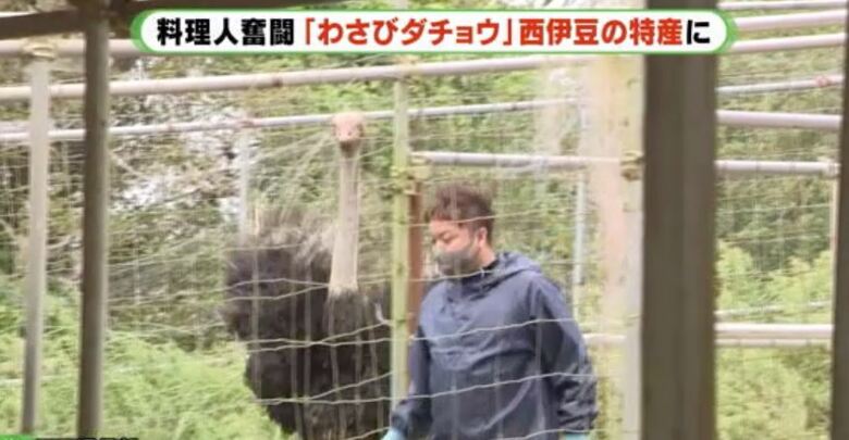地域おこし協力隊だった堀さんは西伊豆町に移住