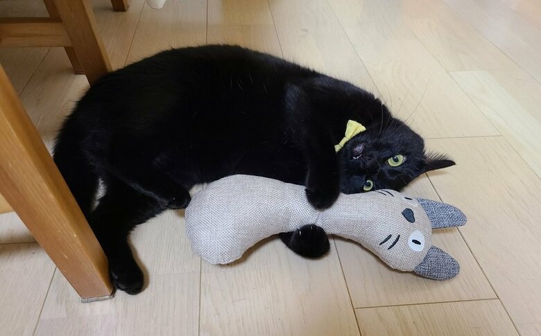 おもちゃで遊び中