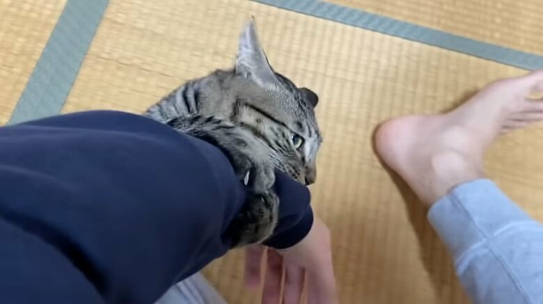 さらに攻撃は続く…