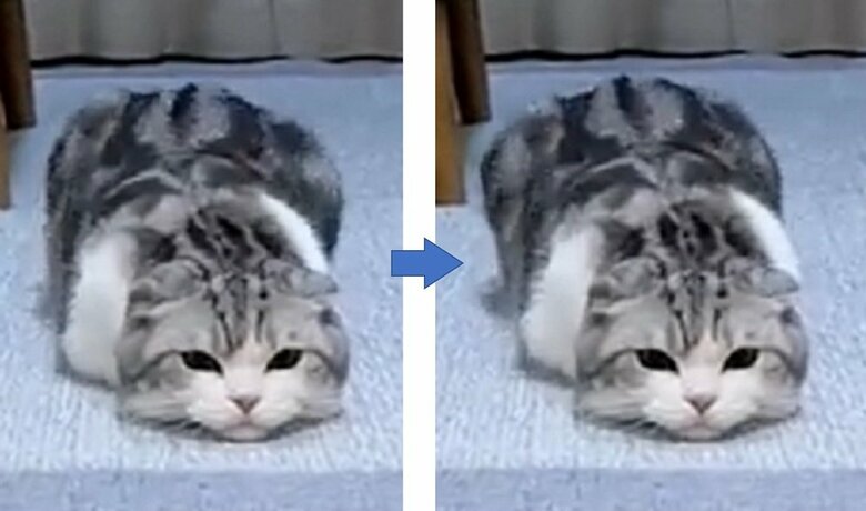 腰を左右にブルブル