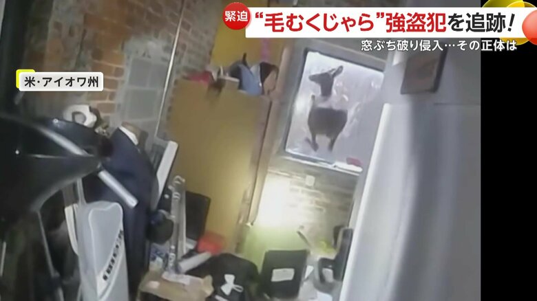 転々と血の跡のようなものが見られた店内
