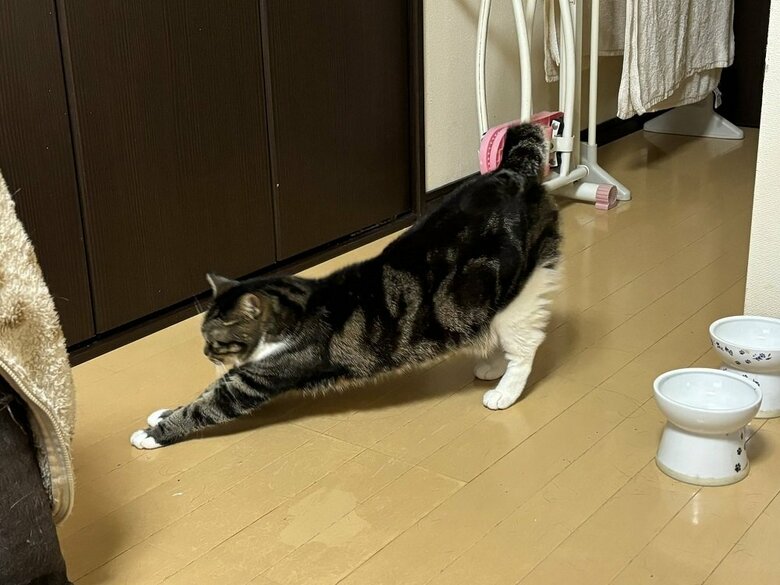 のびー