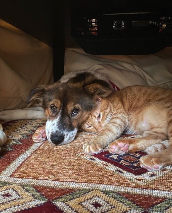 提供：naomiさん