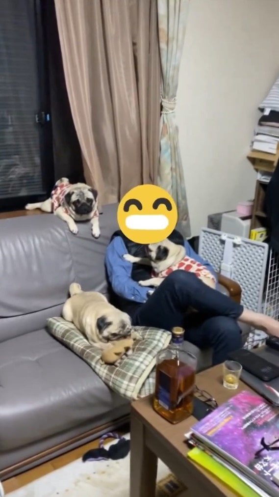 くるみちゃんたちはお父さんが大好き！