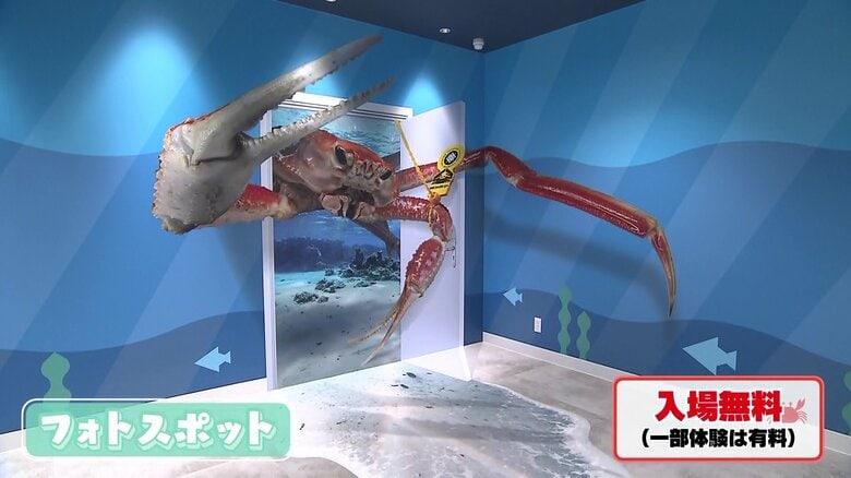 カニと写真が撮れるトリックアートも