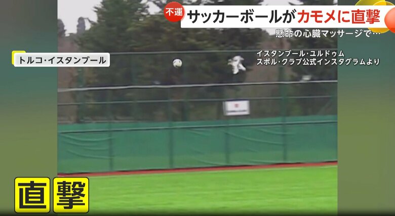 サッカーの試合中、ボールが空を飛んでいたカモメに直撃する瞬間（2月、トルコ・イスタンブール）⑤