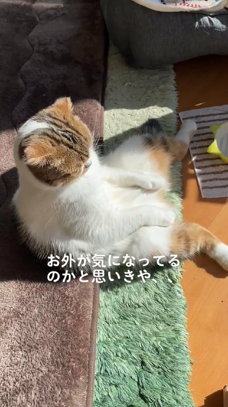 顔をのぞき込むと…