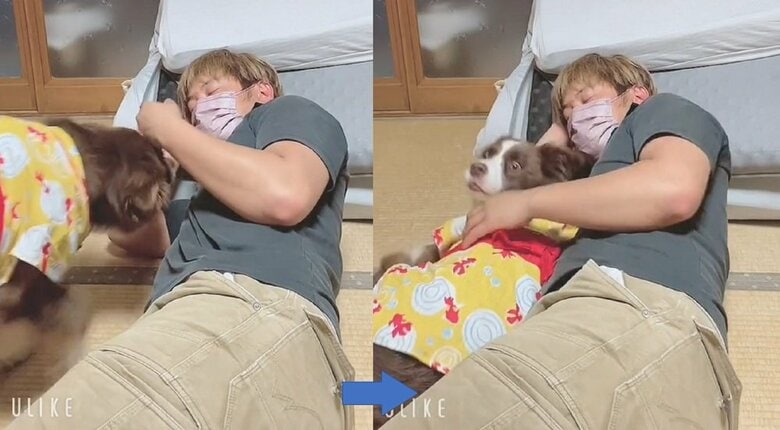 腕枕をされようと移動するテールちゃん