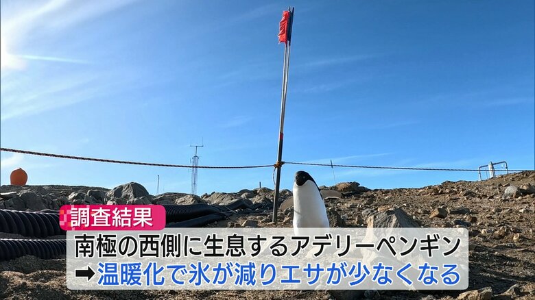 南極観測隊は温暖化の影響も調査　ペンギンが減少したとの報告も