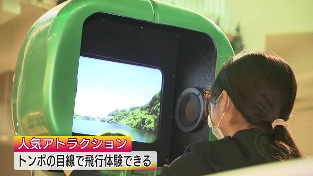 トンボになった気分に