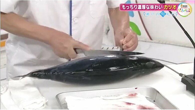 原田会長の手でさばかれる本カツオ
