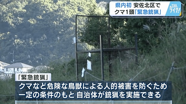 緊急銃猟とは