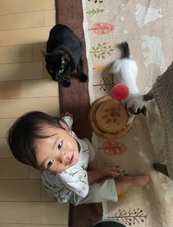 提供：ゴンゾウR4さん