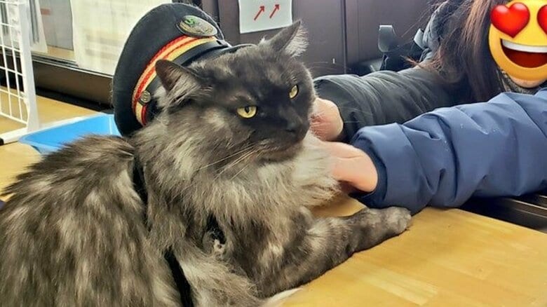 お客さま対応もする