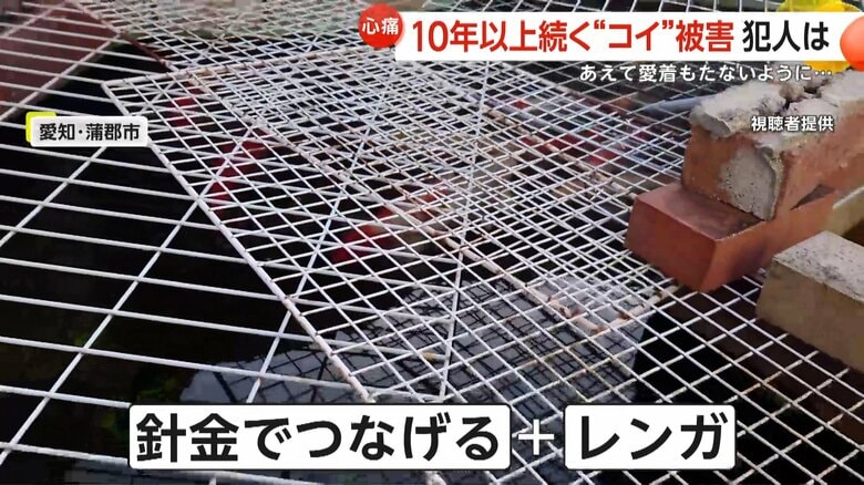 現在は金網を強化し、レンガ置いて対策している