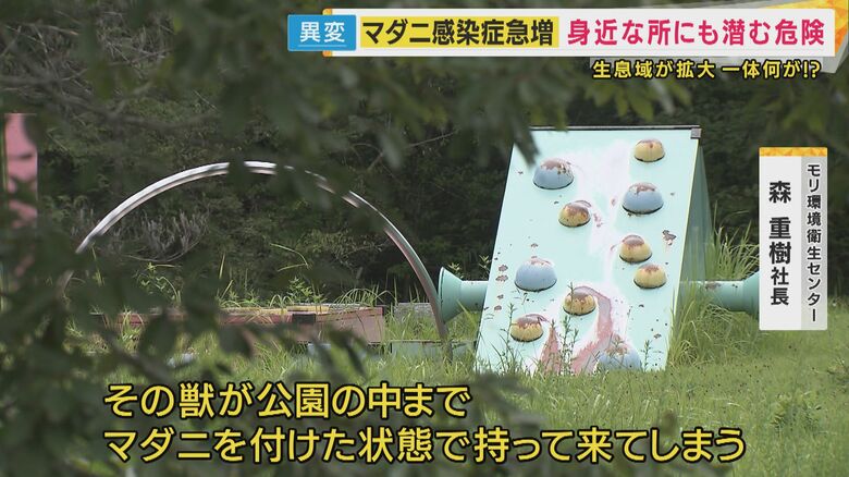公園にもマダニが
