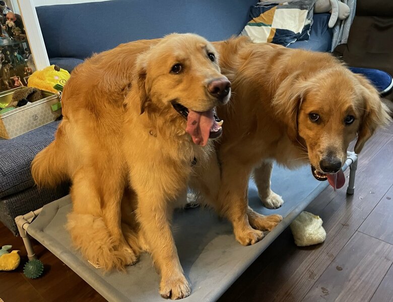 互いのお家に遊びにいくこともある