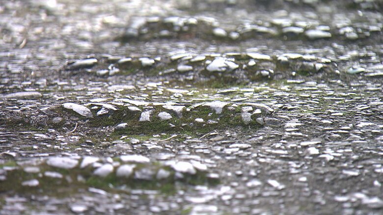 蹄がすべらないようにでこぼこした「馬車道」