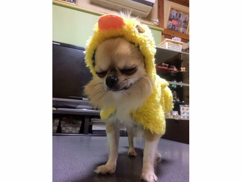 悲痛な表情を浮かべる当時4歳のリクくん（提供：榊 柾人さん）