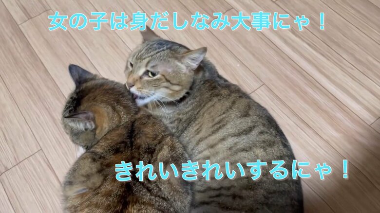 かぼすくんもゆずちゃんの面倒をみる