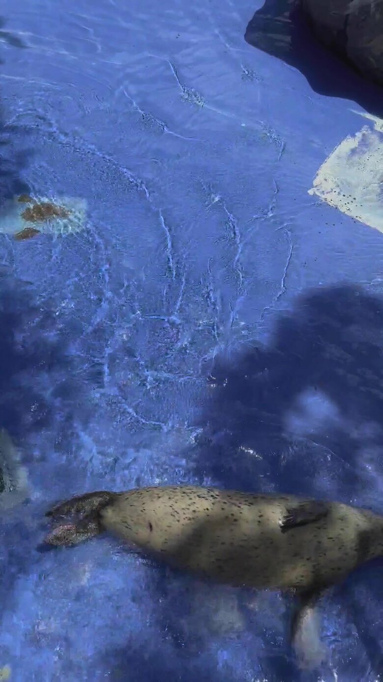 （提供：名古屋市東山動植物園）