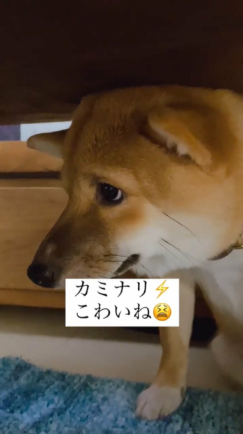 瞳をキョロキョロ
