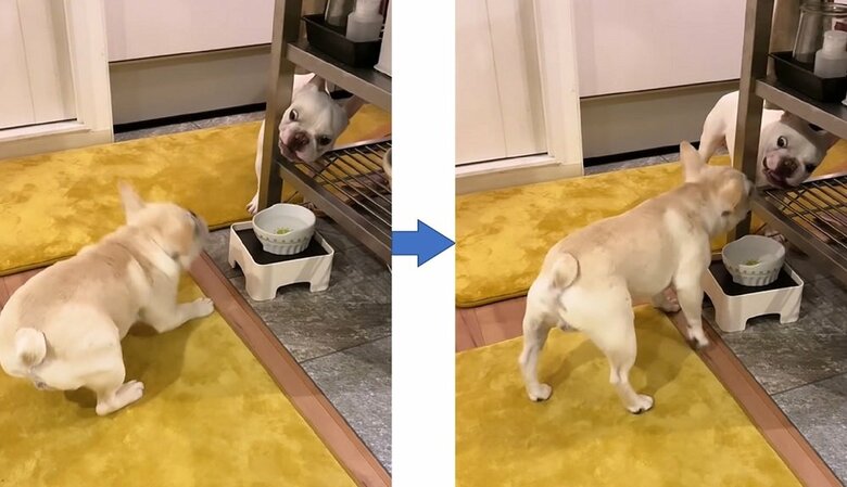 やんちゃなはるくんにタジタジなまるおくん