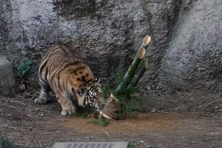 移動して匂いを確認