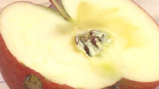 「ひょう」が当たった部分は蜜入りが少なく