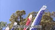 「見る機会少ない子供たちに親しんでもらいたい」　神社に45匹のこいのぼり　大分