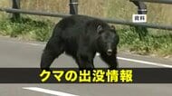 【クマ出没】久慈市の民家敷地内の小屋にクマ1頭出没　岩手県