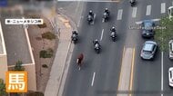 道路を疾走する馬　パレードから逃げ出し大追跡　警察バイクとカウボーイも参戦　駐車場に追い込み無事保護　アメリカ